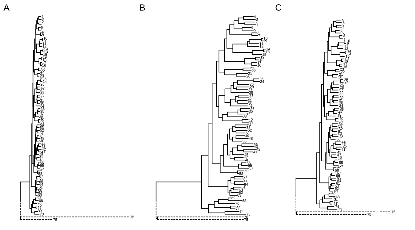 Shrink outlier long branch. Original tree (A); reduced outgroup branch length (B); truncated tree plot (C).